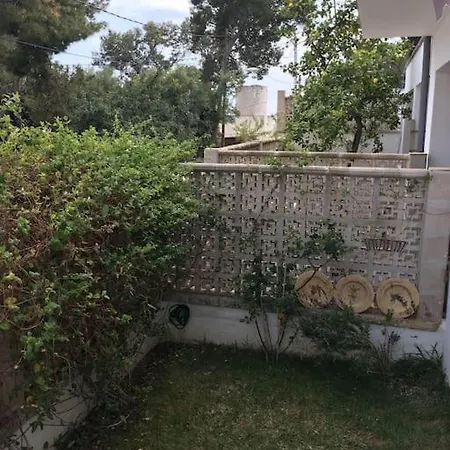 Casita Limon Palma de Mallorca